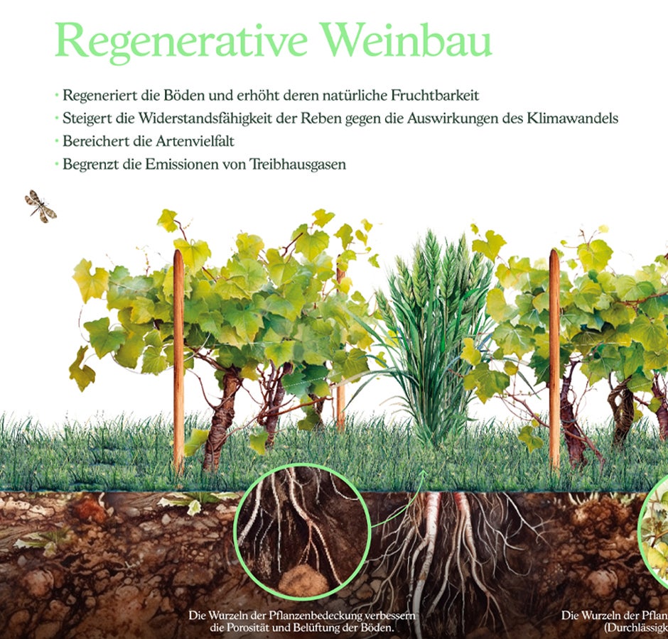 Regenerativer Weinbau