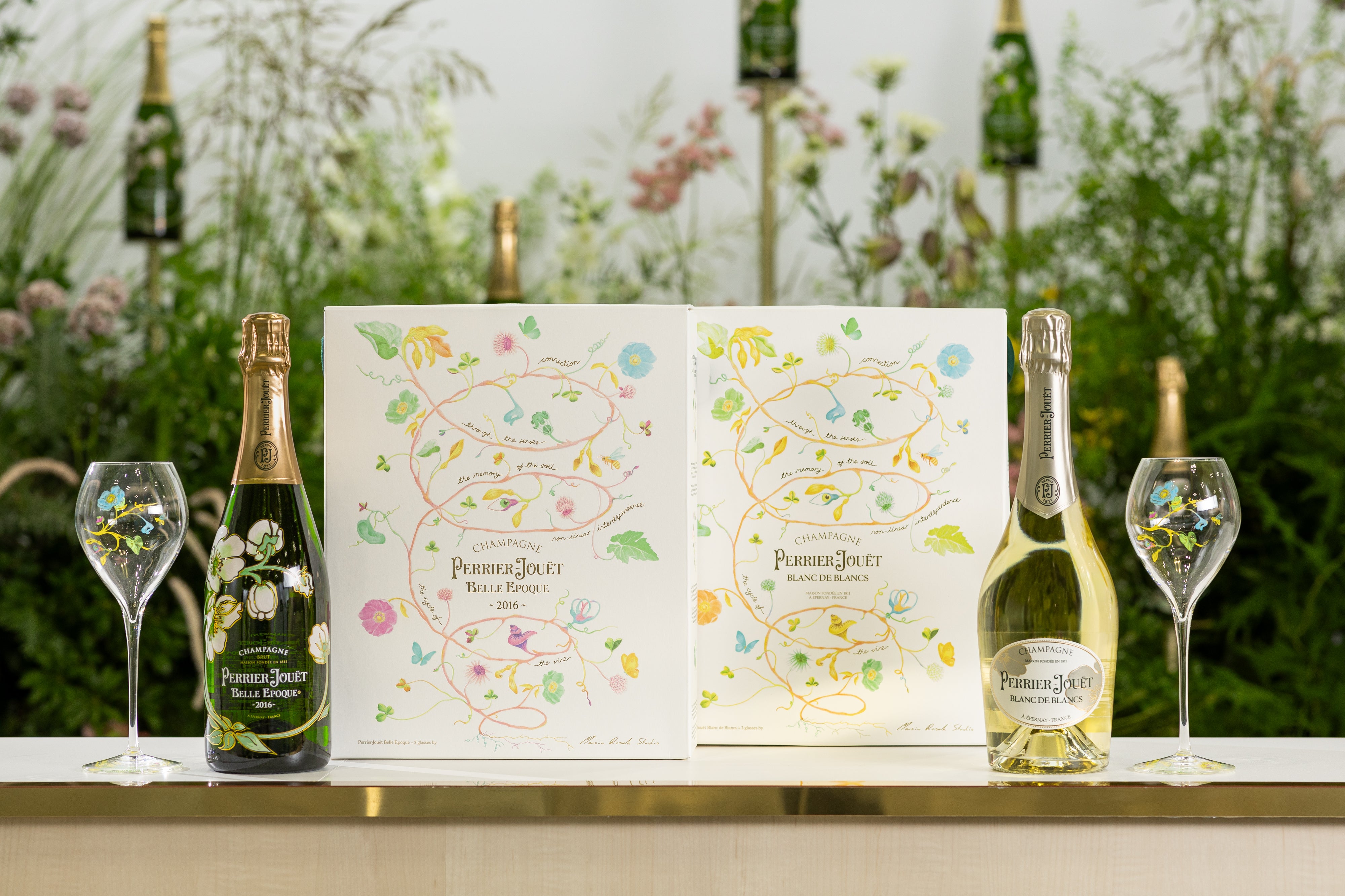 Marcin Collaboration