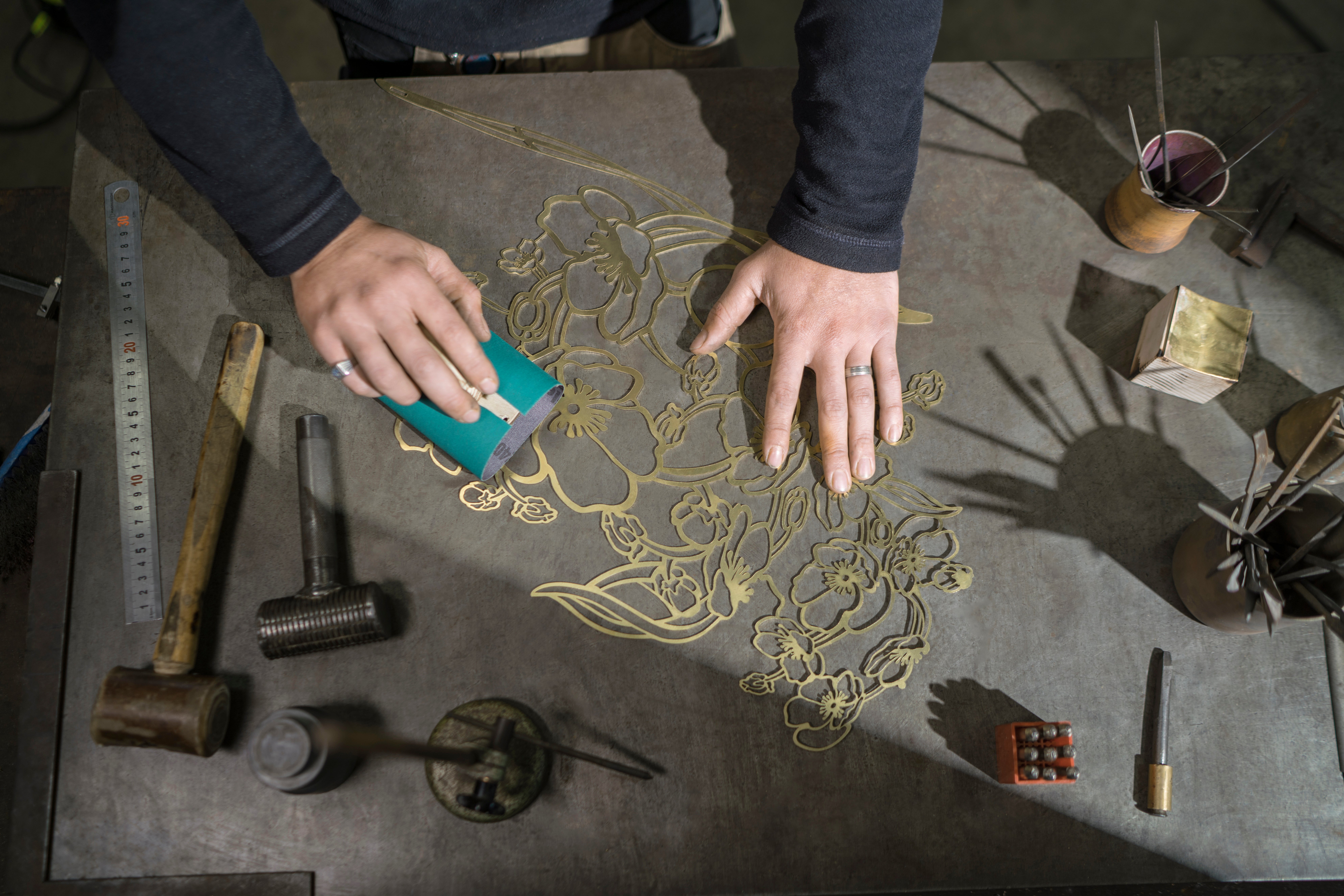 Anemone Collection Image