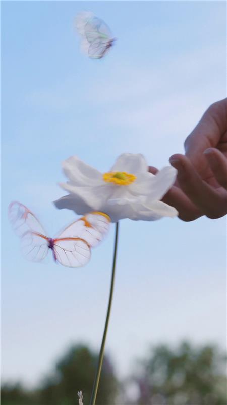 Be More Flower 2 - Japan lifestyle video - mobile