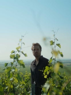 Marcin Rusak in the Perrier-Jouët vineyards
