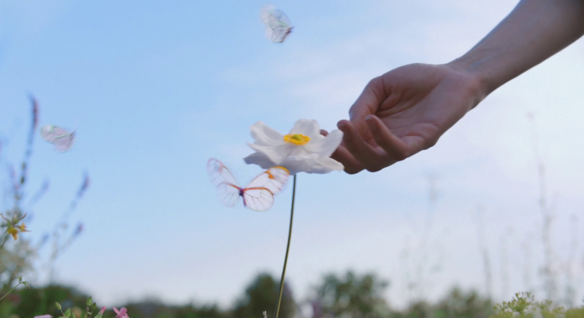 Be More FLower 2 - Japan lifestyle video - desktop