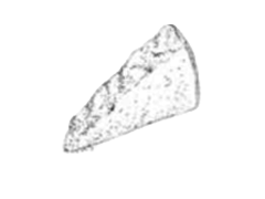 parmiggiano