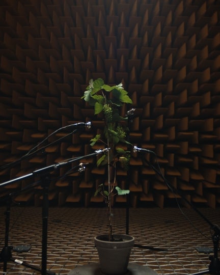 Art Collaboration 22