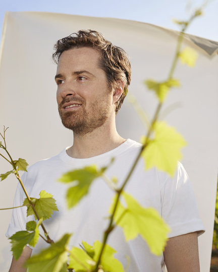 Marcin Rusak in Perrier-Jouët vineyards