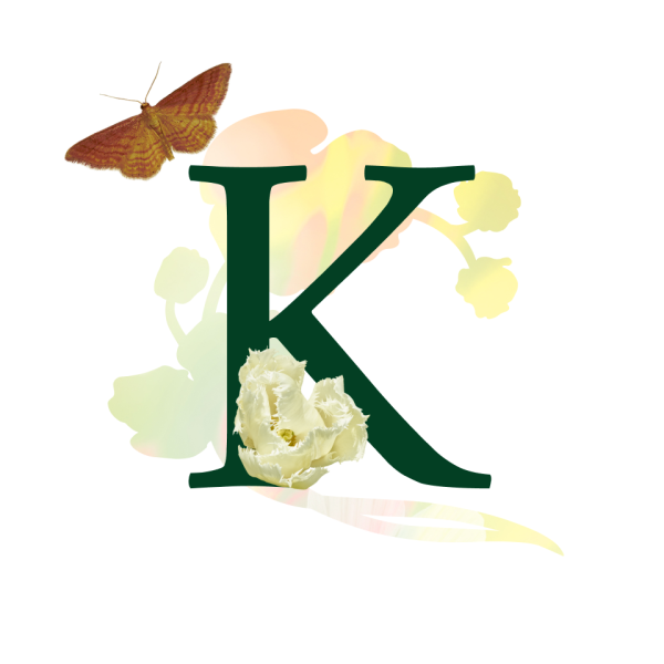 K card - Inspiring letters