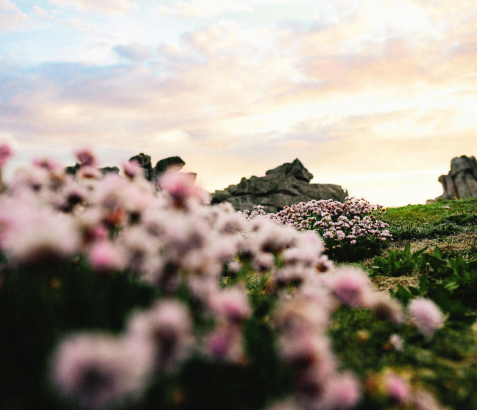 Ile Ouessant