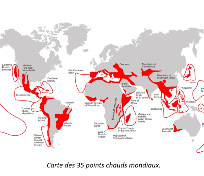 Carte points chauds