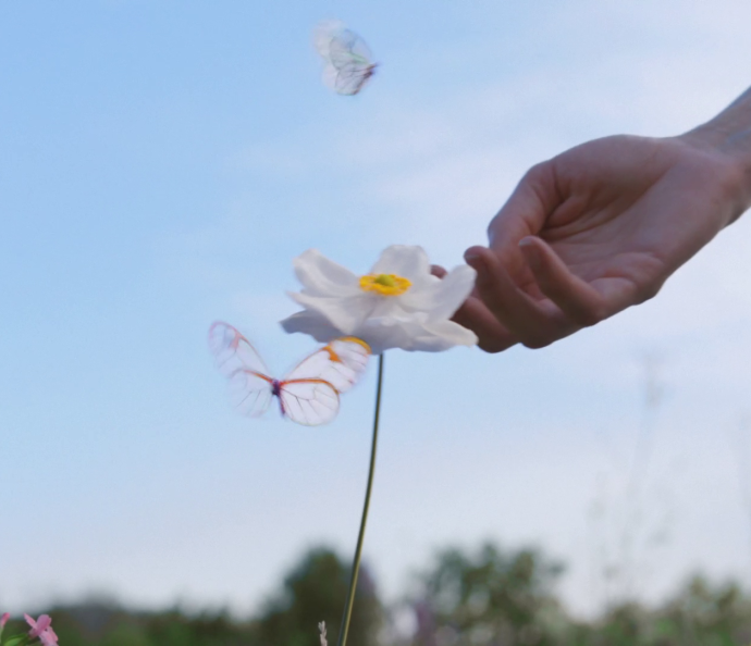 Be More Flower 2 - Japan lifestyle - loop mobile
