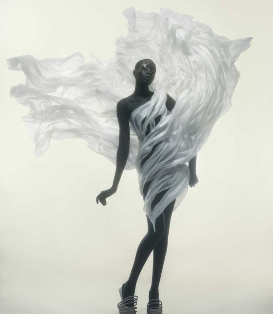 Award for Nature Iris van Herpen Collection