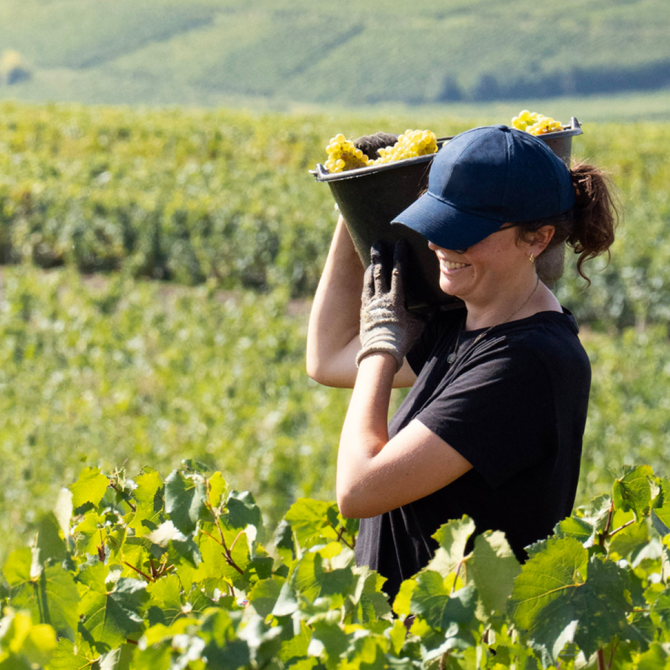 Discover Séverine Frerson 8th cellar master of Maison PerrierJouët