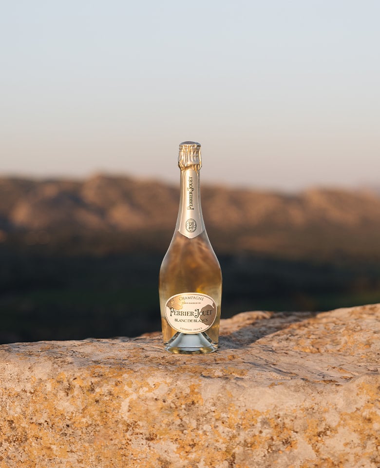 Blanc de Blancs