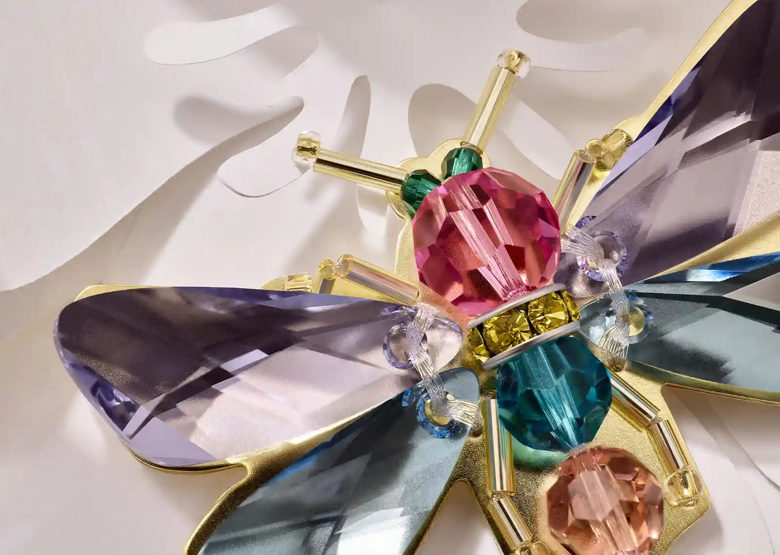 Close up on Bijou Libellule