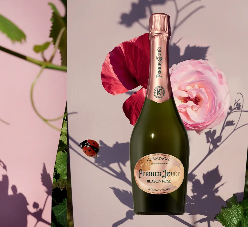 Blason Rosé Key Visual by Viviane Sassen