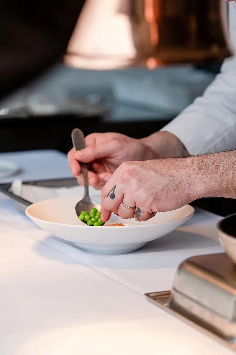 Sébastien Morellon Dressing