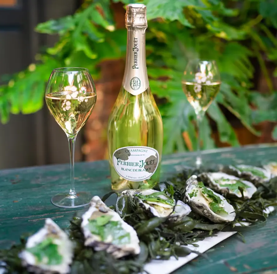 Gaya oysters