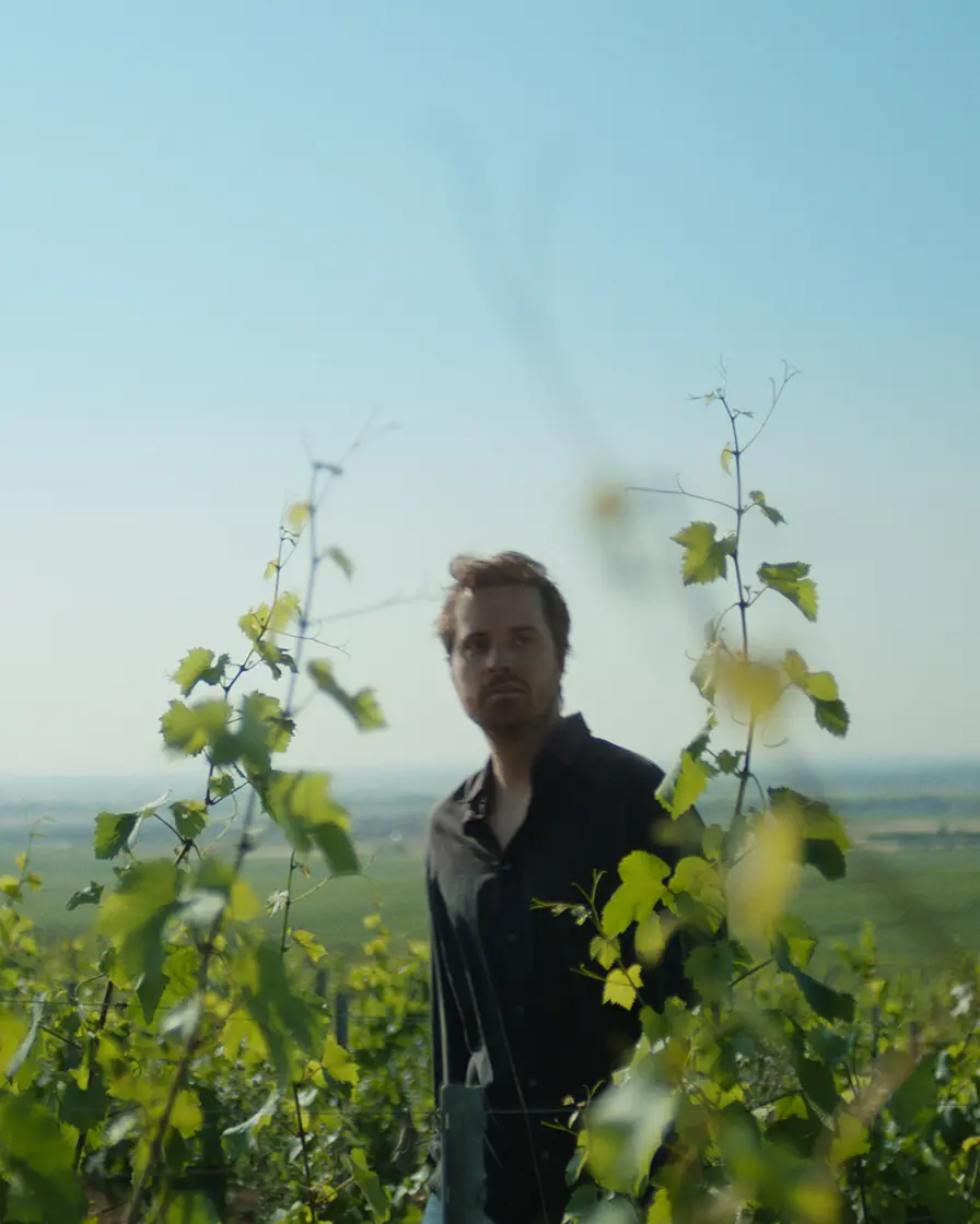 Marcin Rusak in the vineyard