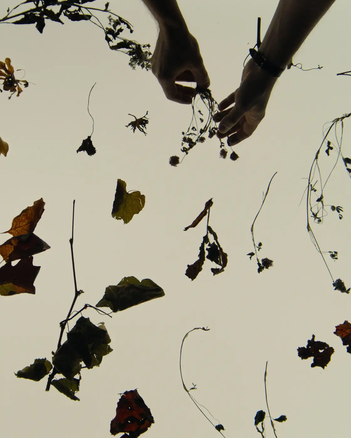 Preparing the amber