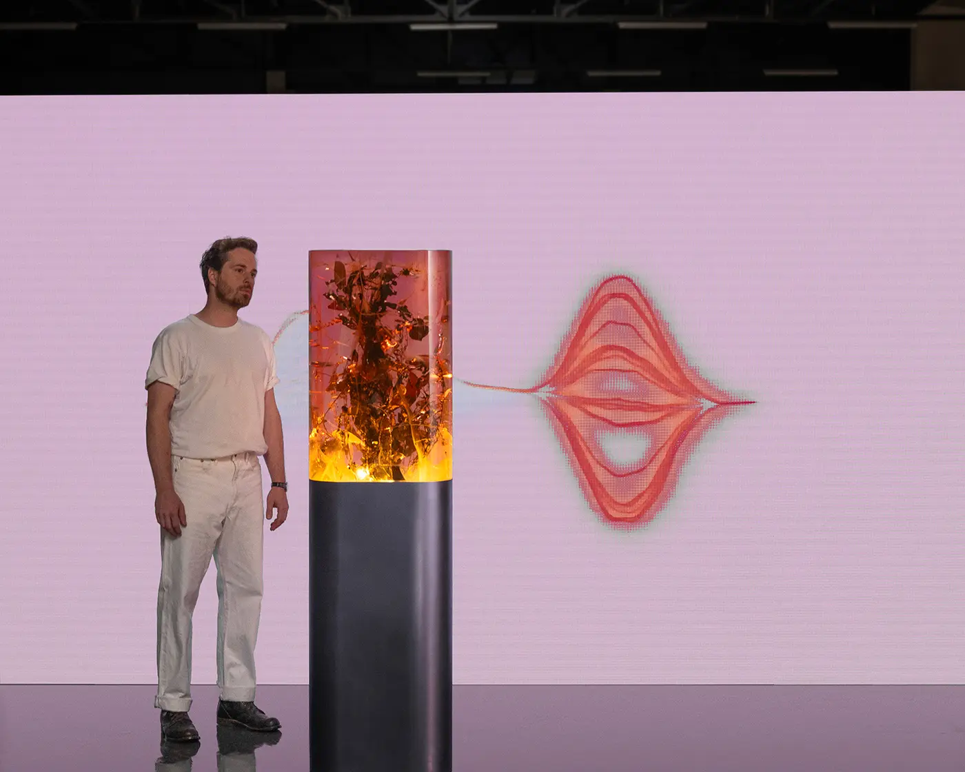 Marcin Rusak and Plant Pulses