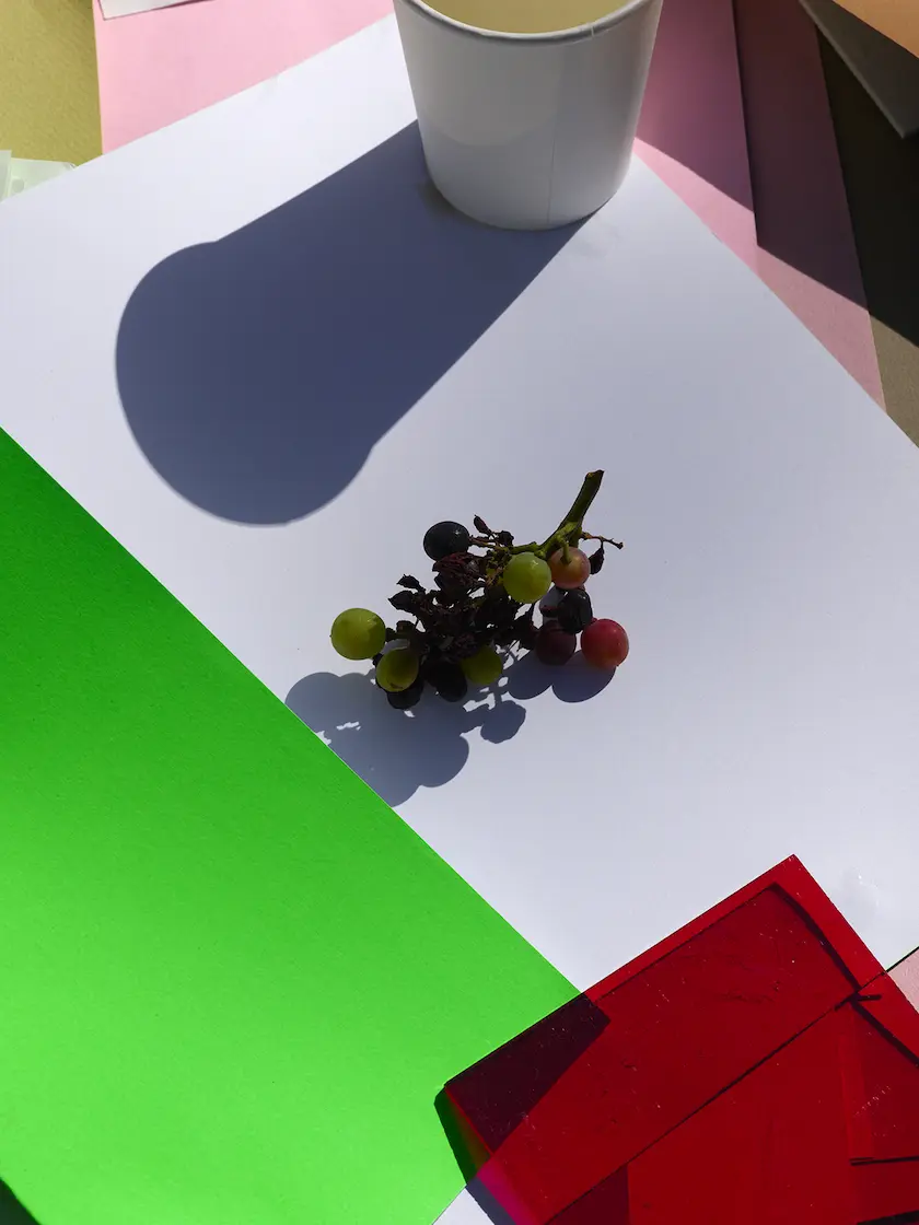 Picture by Viviane Sassen