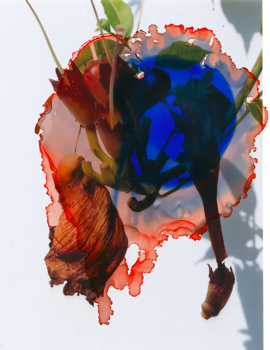 Picture by Viviane Sassen