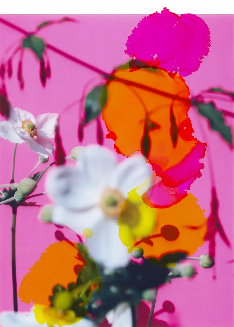 Picture by Viviane Sassen