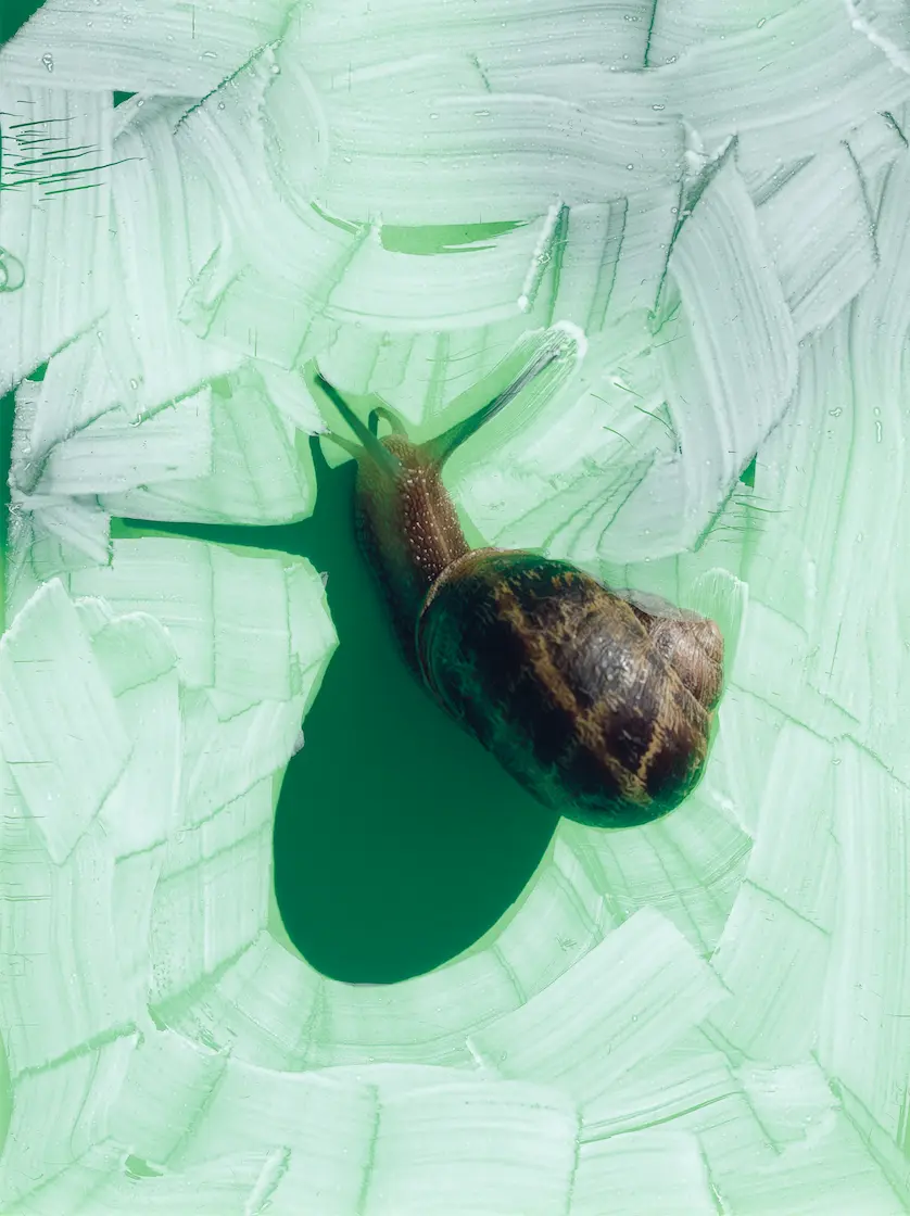 Picture by Viviane Sassen