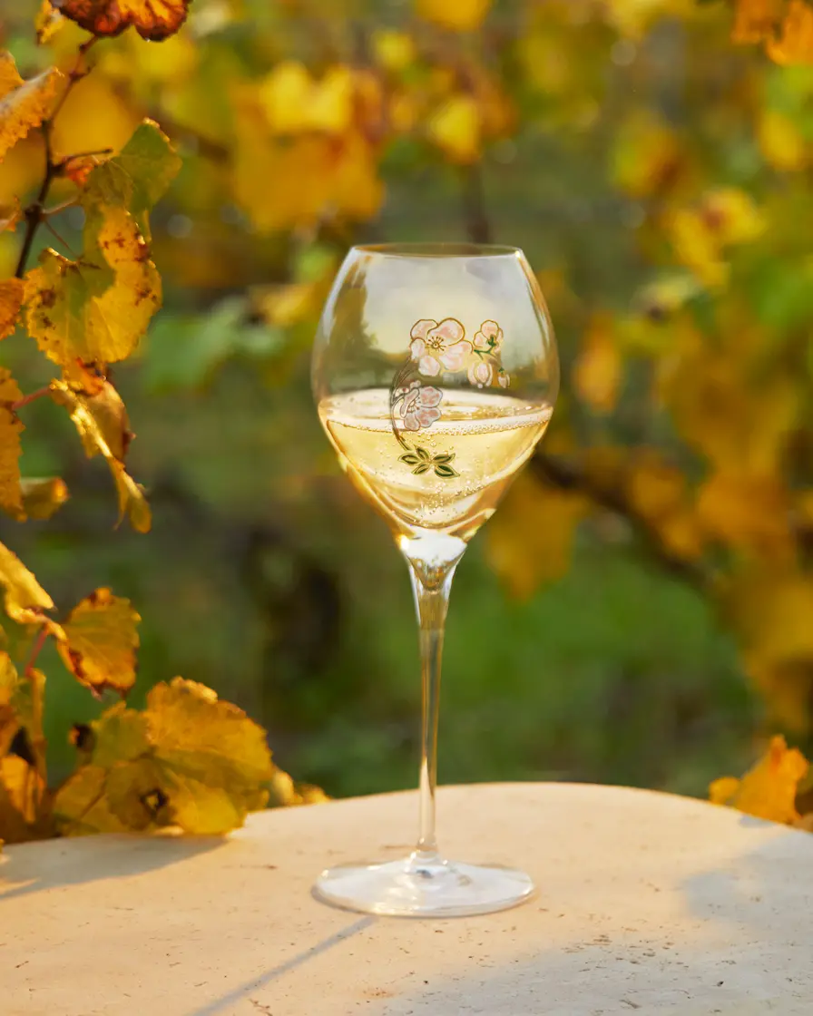 Glass in the vineyard in autumn