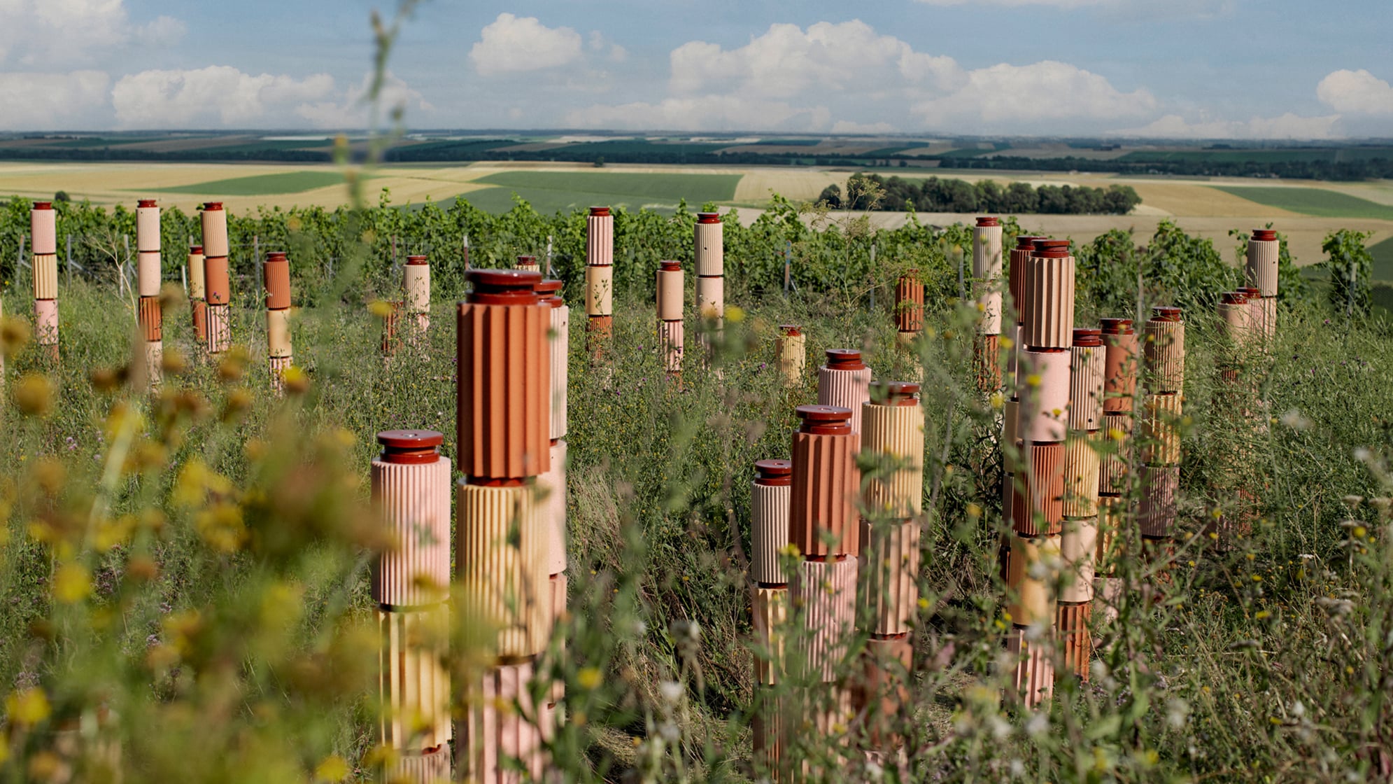 The Ilot de Biodiversité
