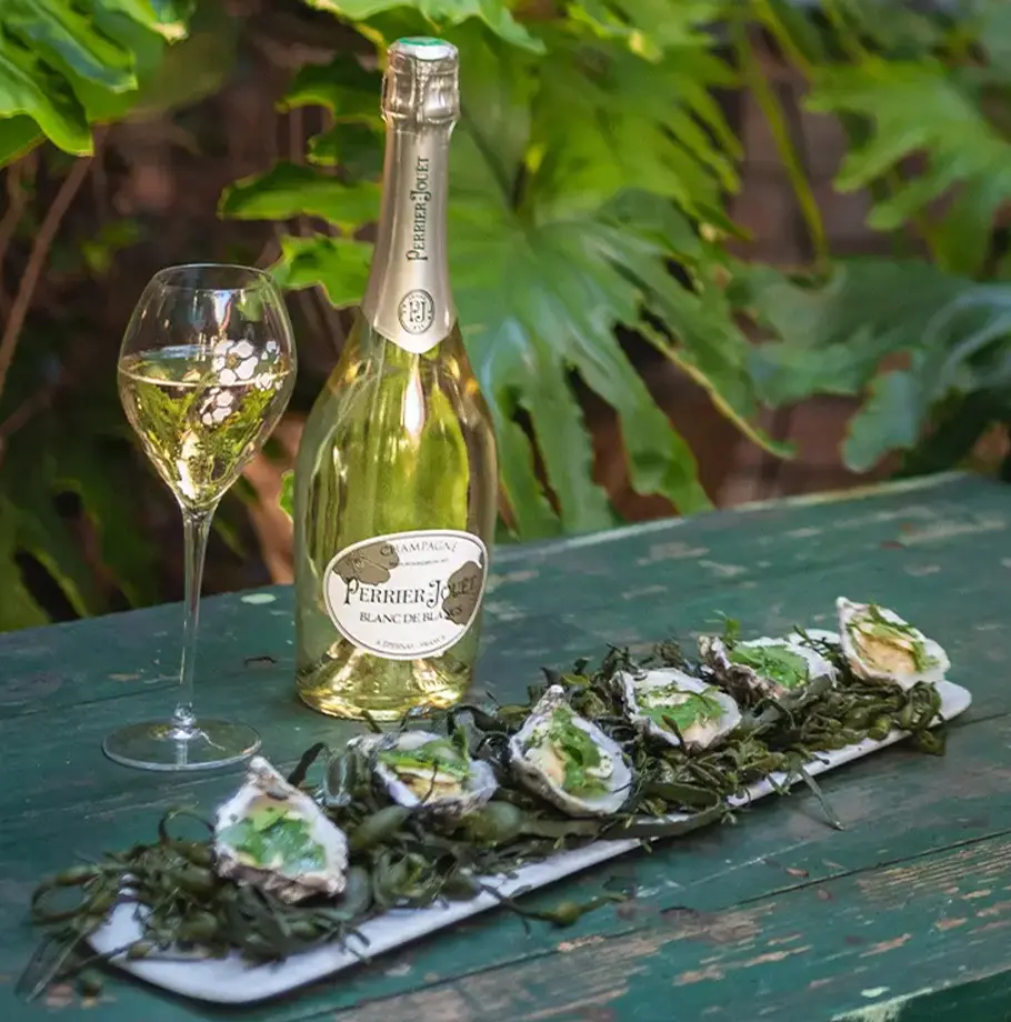 Gaya oysters with lime and sardine rillettes
